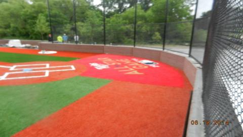 Twins All-Star Field