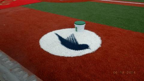 Twins All-Star Field
