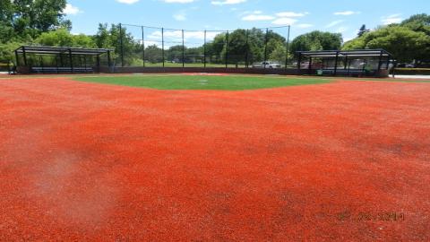 Twins All-Star Field